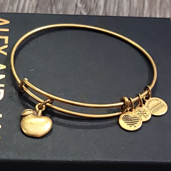 Alex and Ani Apple of Abundance Charm Bracelet - Picture 7 of 11
